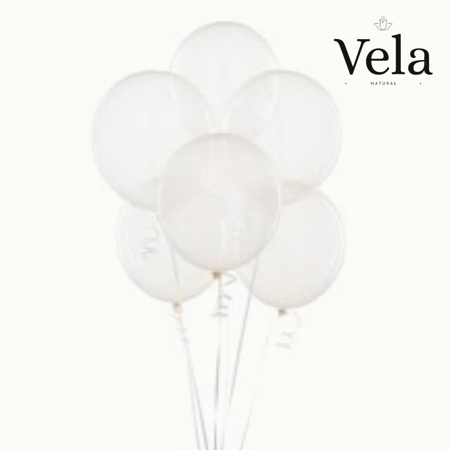 Biodegradable Balloons: Translucent (10 pack)