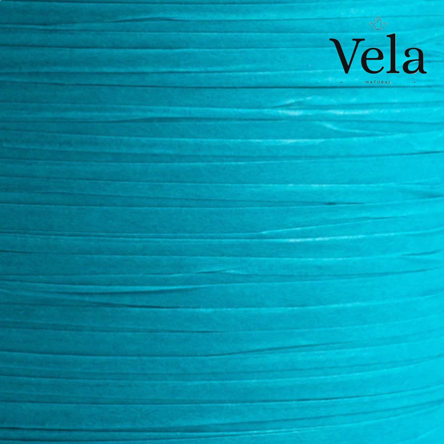Compostable Ribbon: Turquoise