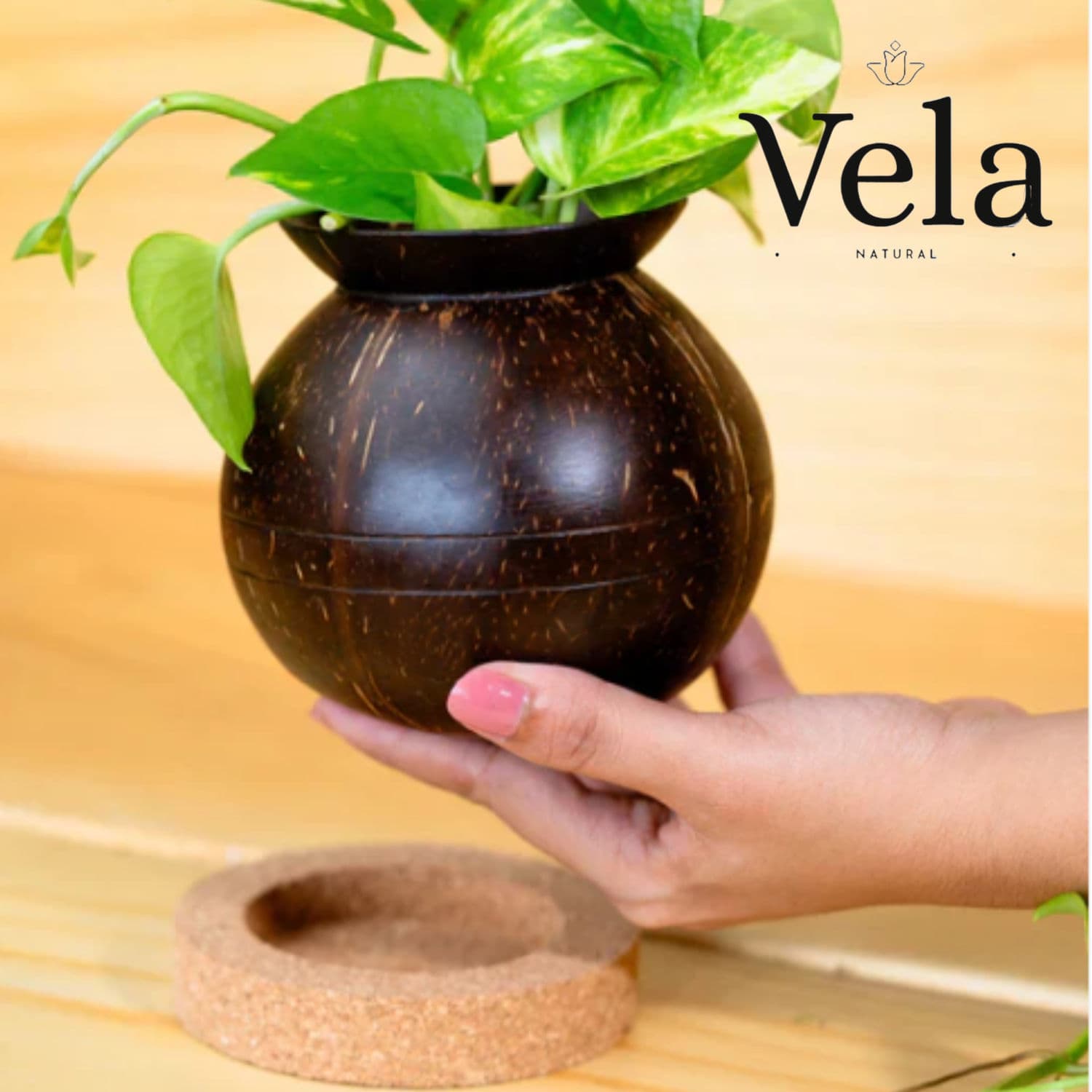 Plant Pot with Cork Tray