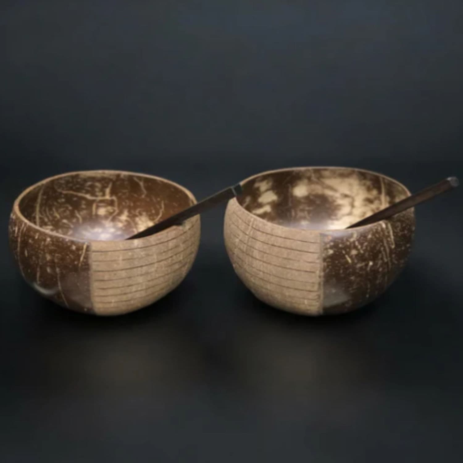 Jumbo Patterned Coconut Bowls & Spoons - Reusable alternate image