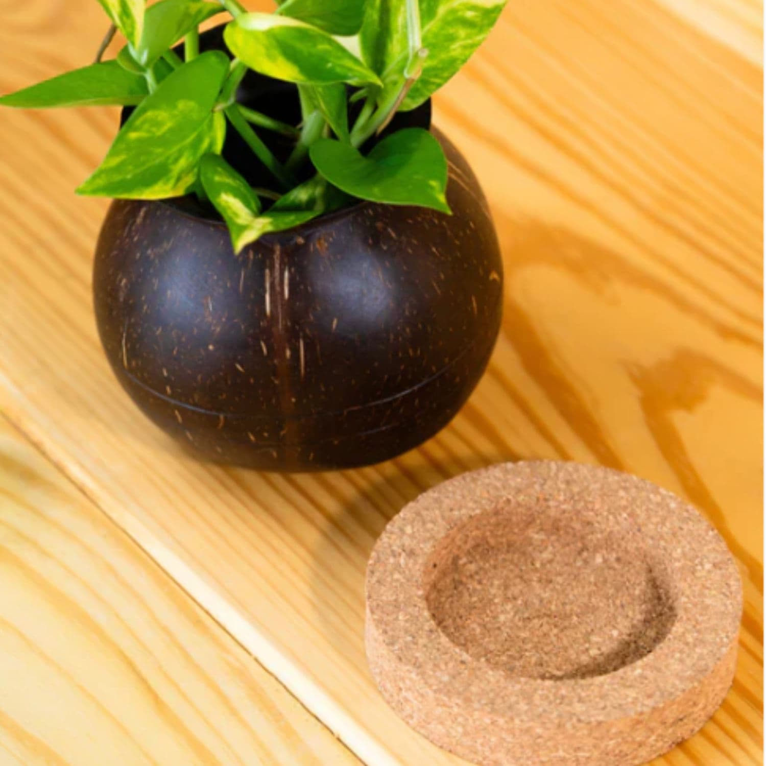 Plant Pot with Cork Tray - 1 Pack thumbnail 4