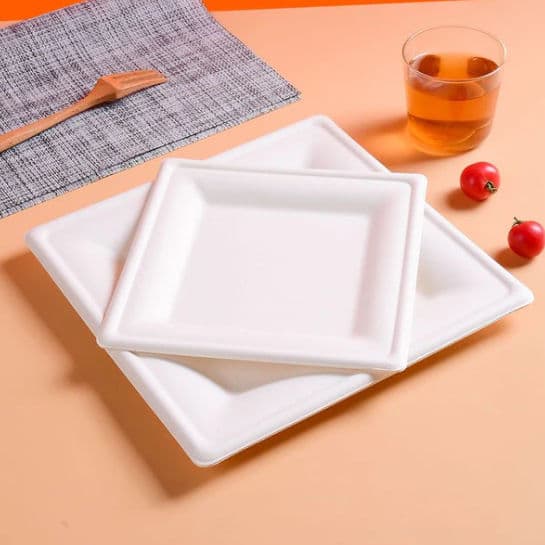 20cm (8") Compostable Square Bagasse Disposable Plates alternate image