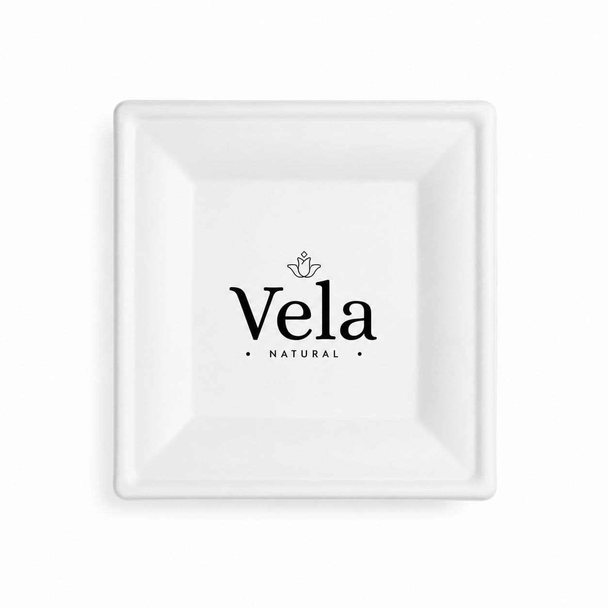 20cm (8") Compostable Square Bagasse Disposable Plates