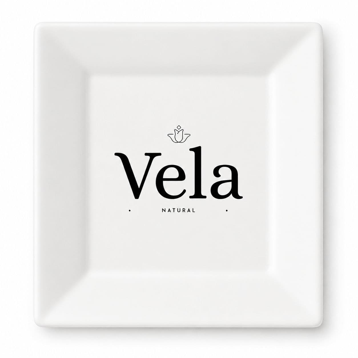 25cm (10") Compostable Square Bagasse Disposable Plate