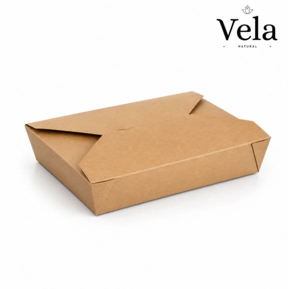 700ml Kraft #2b Hot Food Boxe
