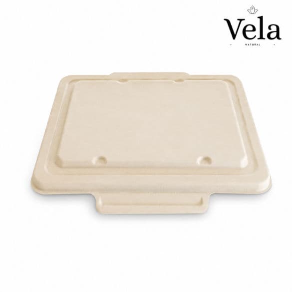 BioCane Lid for Standard Taco Box