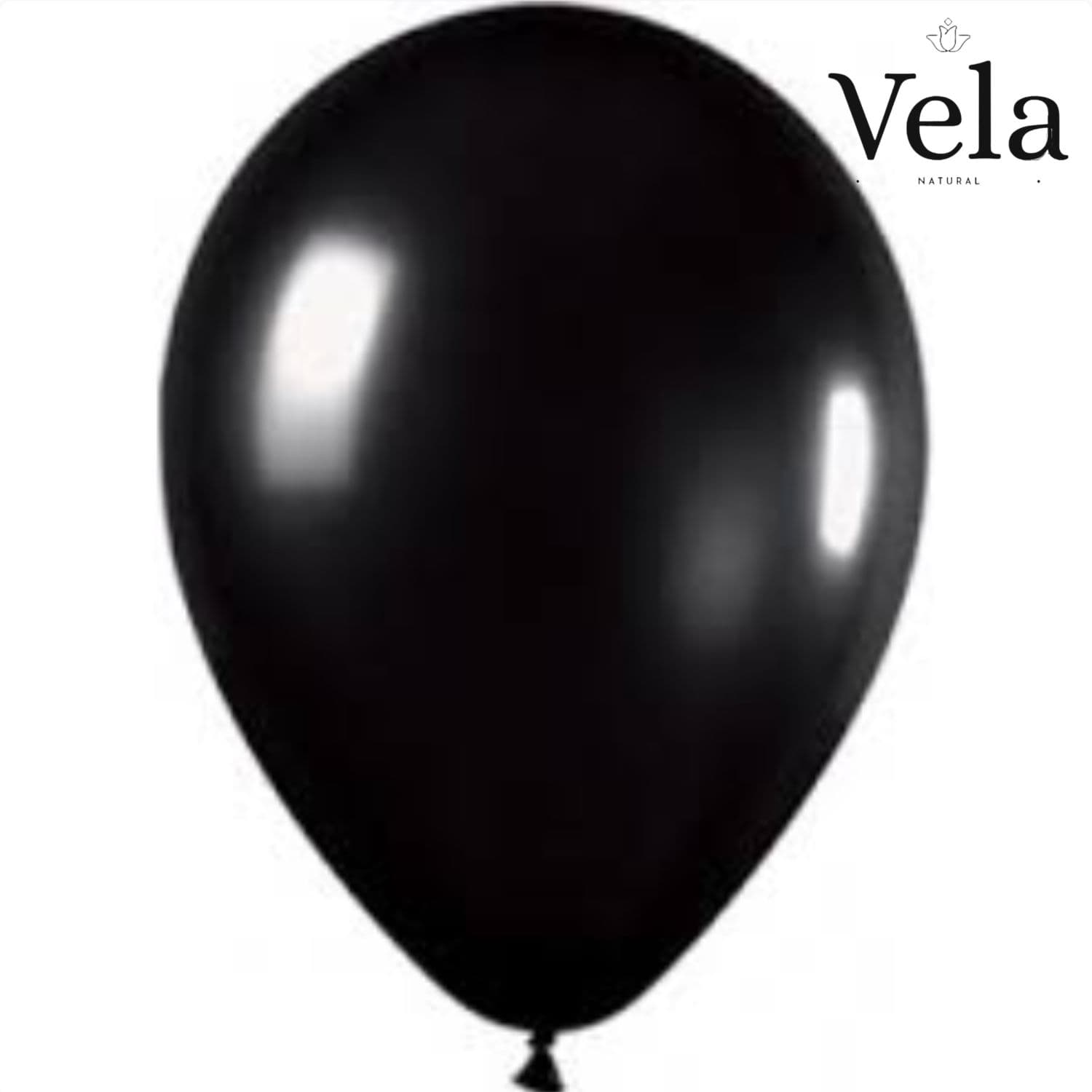 Biodegradable Balloons: Black (10 pack)