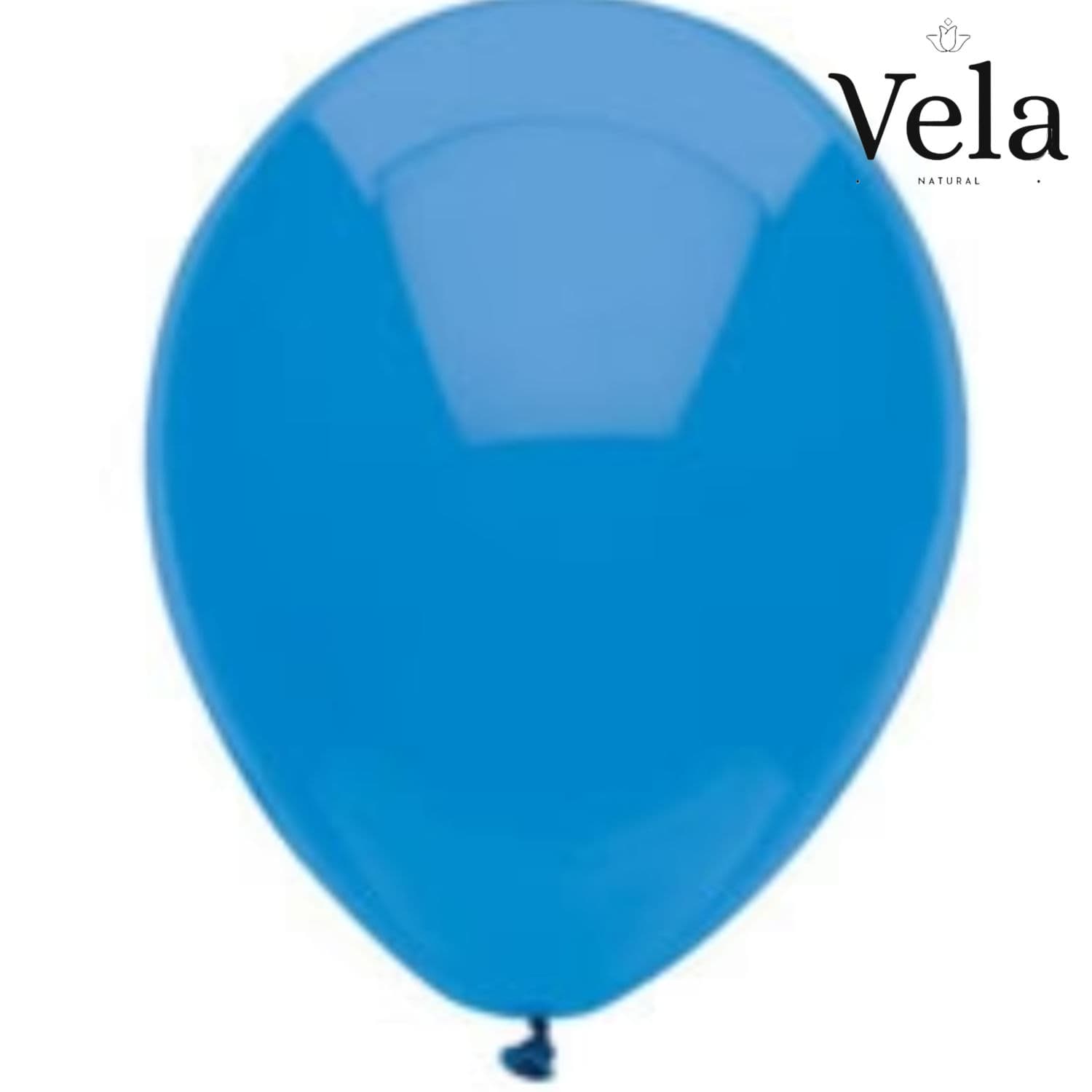 Biodegradable Balloons: Blue (100 pack)