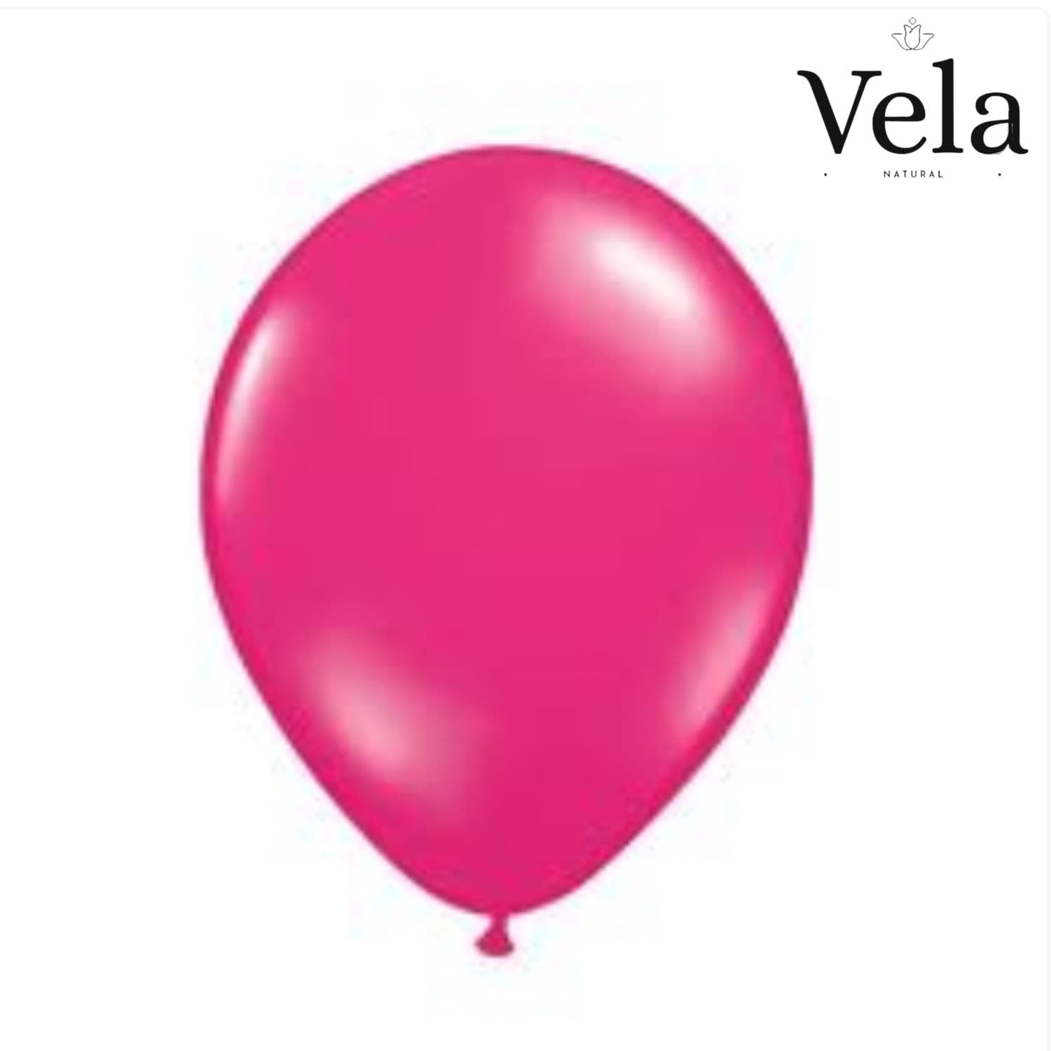 Biodegradable Balloons: Hot Pink (10 pack)