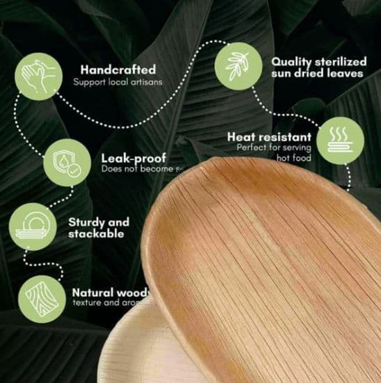 Large Oval Disposable 10" (25cm) Bamboo Palm Leaf Plates - 100 Pack product image 2