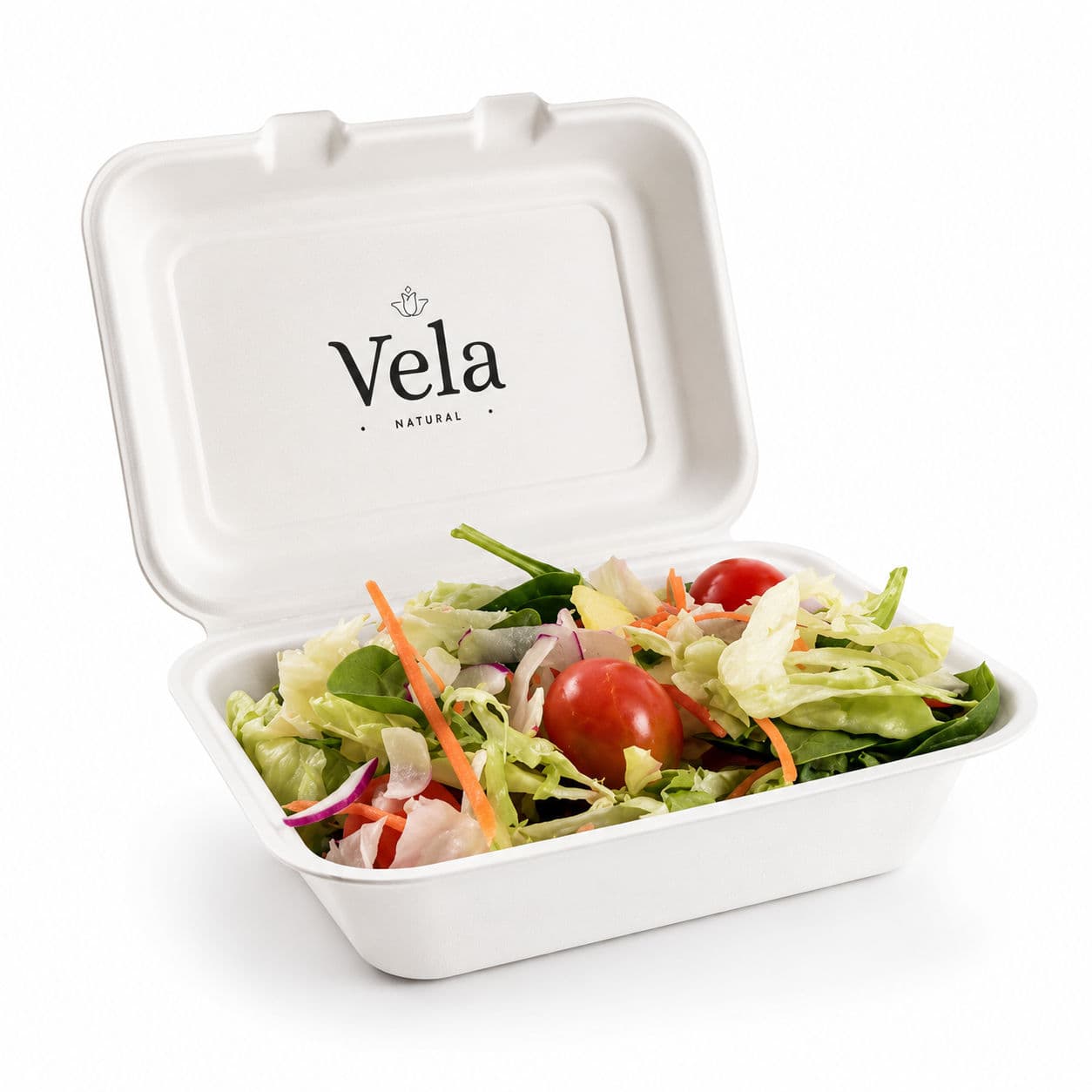 White Clamshell 7" x 5" Disposable Takeaway Box